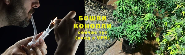 spice Аркадак
