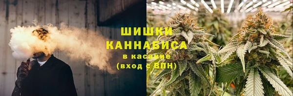 spice Аркадак