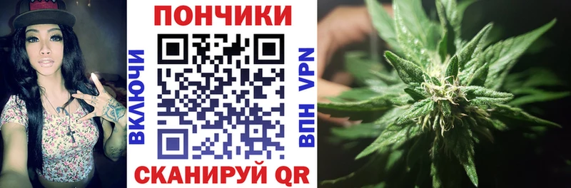 где купить наркоту  Инза  Шишки марихуана ГИДРОПОН 